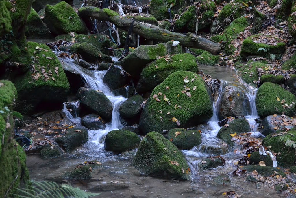 Fragas de Pena Má em Salamonde, Vieira do Minho - Portugal by Parruco