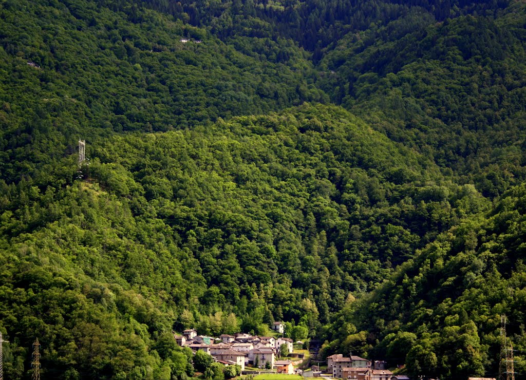 Contrada Valbona (DB) by daniela balgera