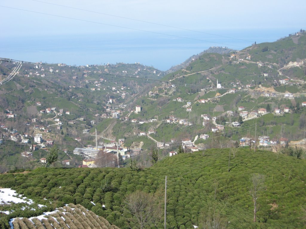 53800 Pınarbaşı/Rize Merkez/Rize, Turkey by alkanci