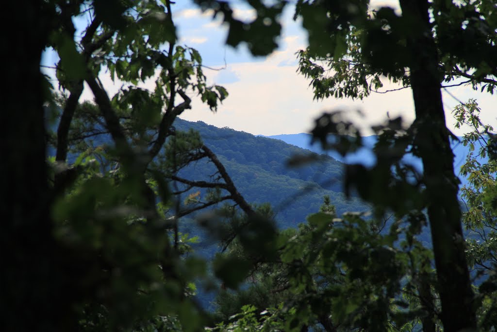 Looking Northwest from Snake Root Trail (Jefferson National Forest, VA) by John MacKinnon