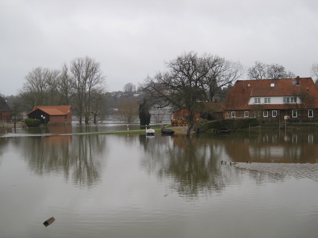 Elbe-Hochwasser by Blue Bayou