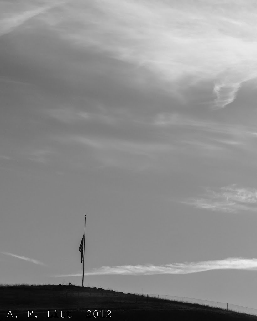 Lone Flag. El Dorado Hills, California. December 19, 2012. by A. F. Litt