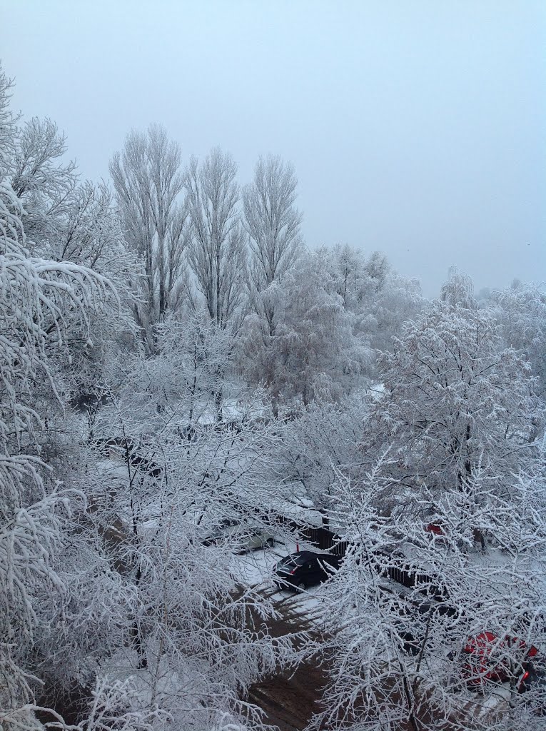 The First Snow - Az első hó by zsibene