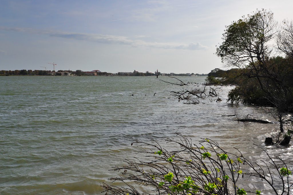 Rhone - Camargue, Bouches-du-Rhône, Provence-Alpes-Côte d'Azur, France by Photo Guide