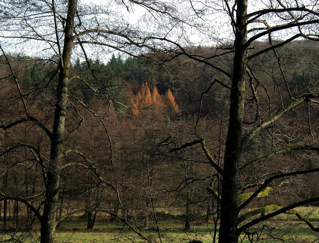 Herbst im Albtal by w-hofmann