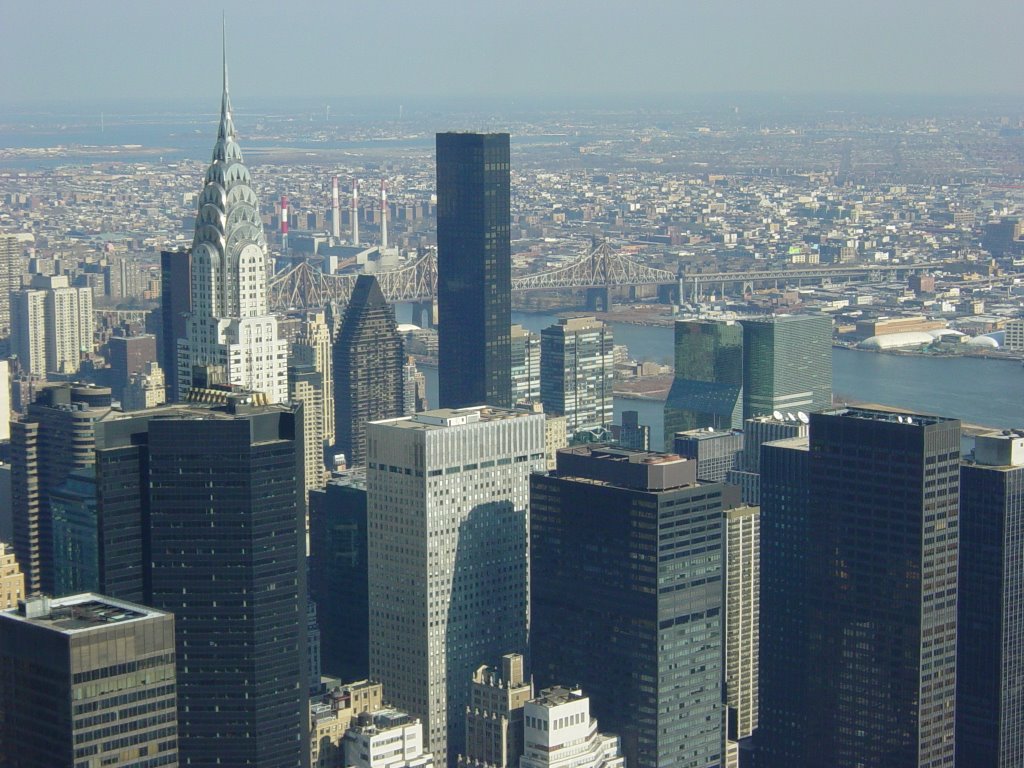 Panorama from Empire State, New York, USA by SpagBog