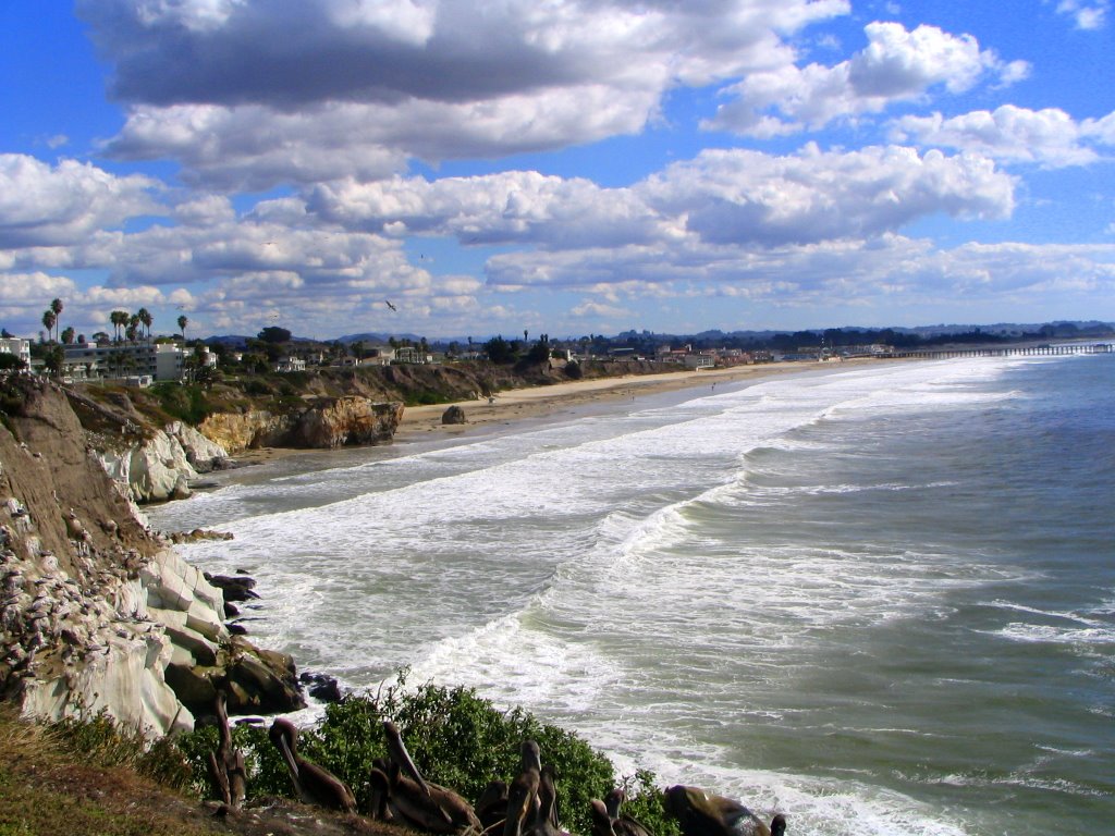 Pacific Coastline, US 1, birds, looking south by Piotr_Krajewski