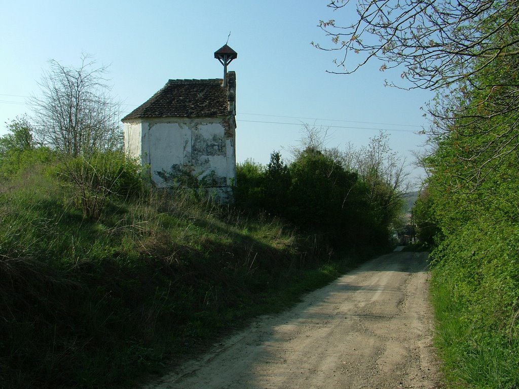 Elfeledett kápolna - Forgettable Chapel by Pinke László