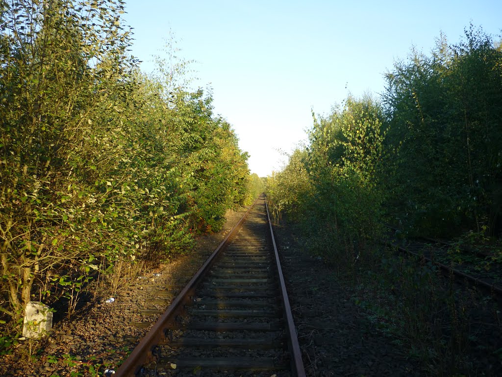 Bahnstrecke Meerbusch-Osterath–Dortmund Süd, nahe des alten Güterbahnhofs (Wattenscheid) / 11.10.2012 by Iceman93 / NO VIEWS!!!