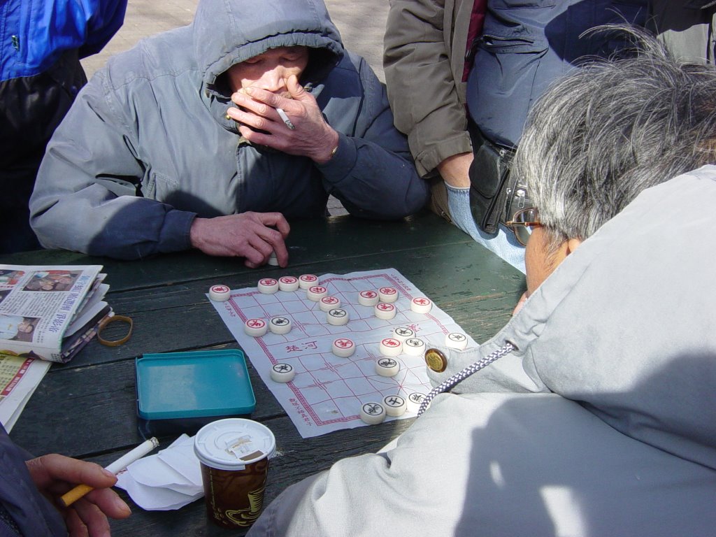 Chinese checkers in China Town, New York, USA by SpagBog