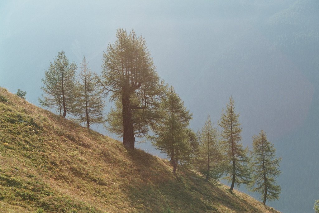 Lötschental VS by frisbi