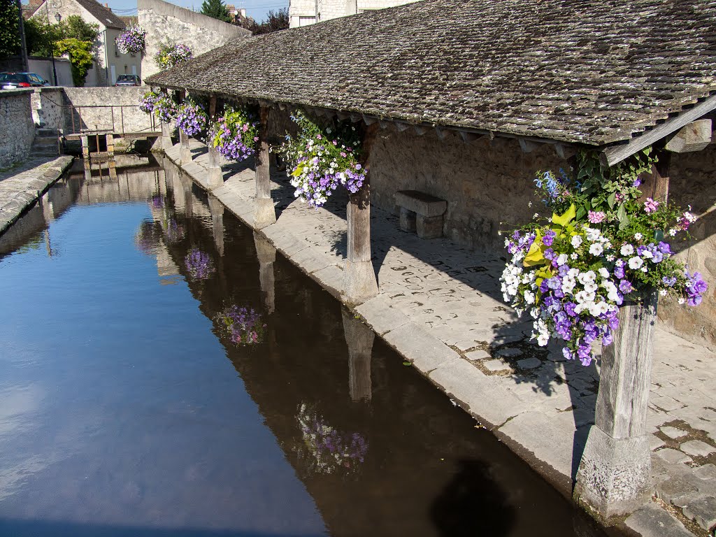 Lavoir de la Bonde Milly la forêt by Daniel Pelletier