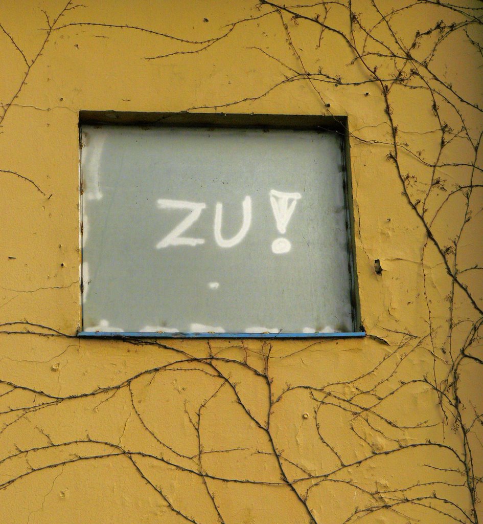 ZU! by tumblr.tk