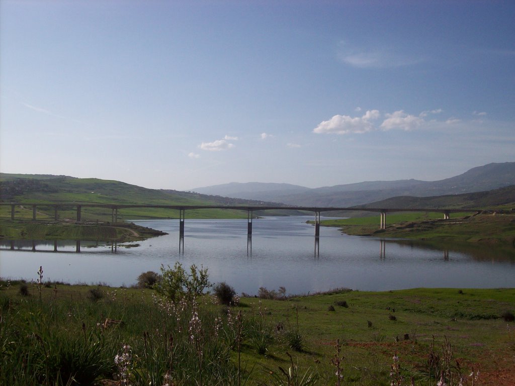 Le pont de Mila by Leila Merrad