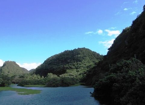 Waimea River - North Shore Oahu by Mickey Oshin