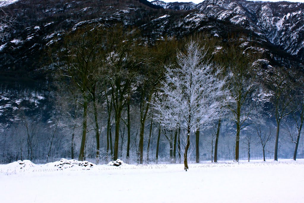 Angolo di gelo, 1, Anzola, Ossola dicembre 2012 by Marco Ferrari