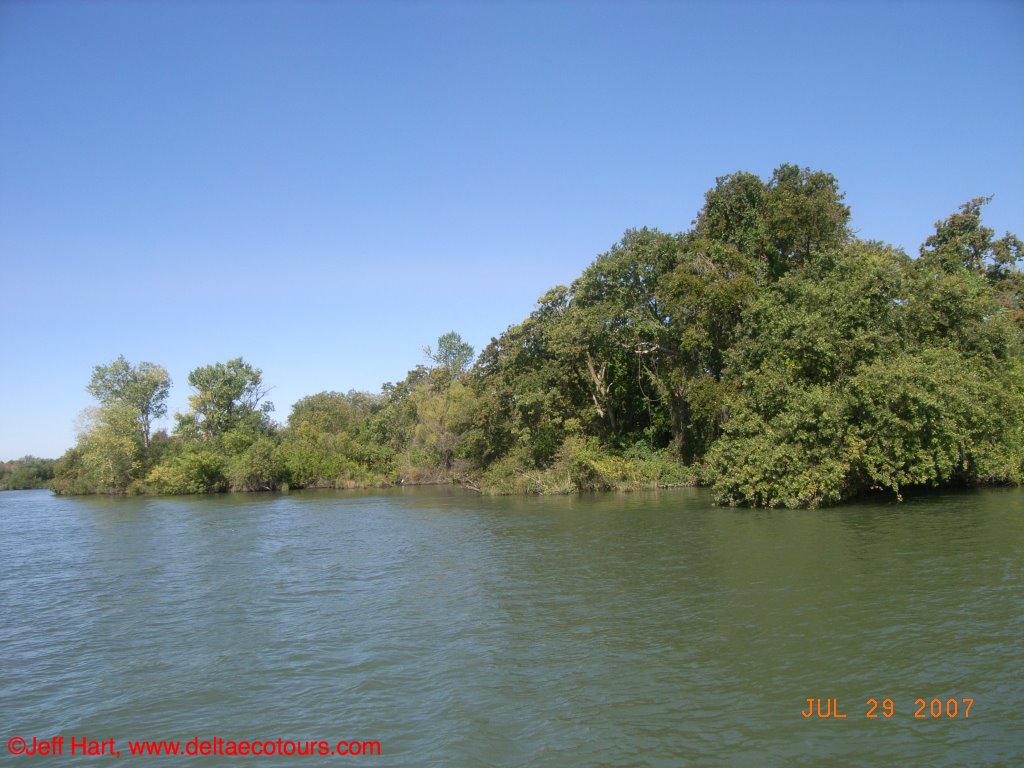 Delta Meadows State Park by Jeff Hart