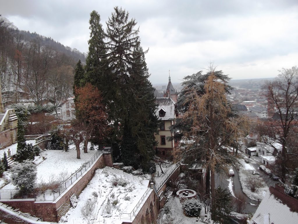 Heidelberg,Germany by Stoyanka Robova