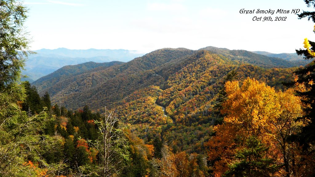 Great Smokey Mtns Nat Park by cartybri