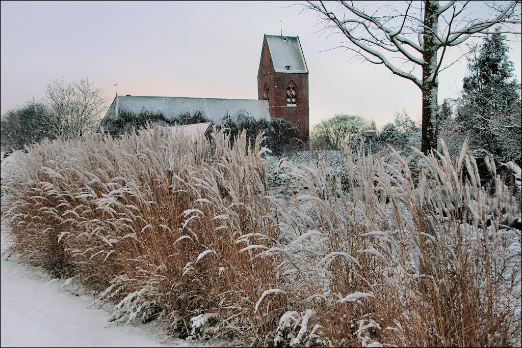 Sneeuwpluimen by Teunis Haveman