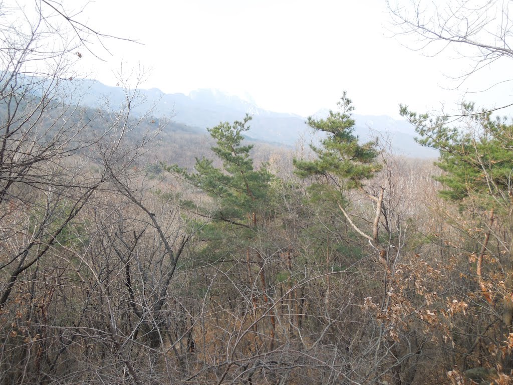 White Cloud Trail, Mt. Bukhan 북한산둘레길 흰구름길 by plumgarden