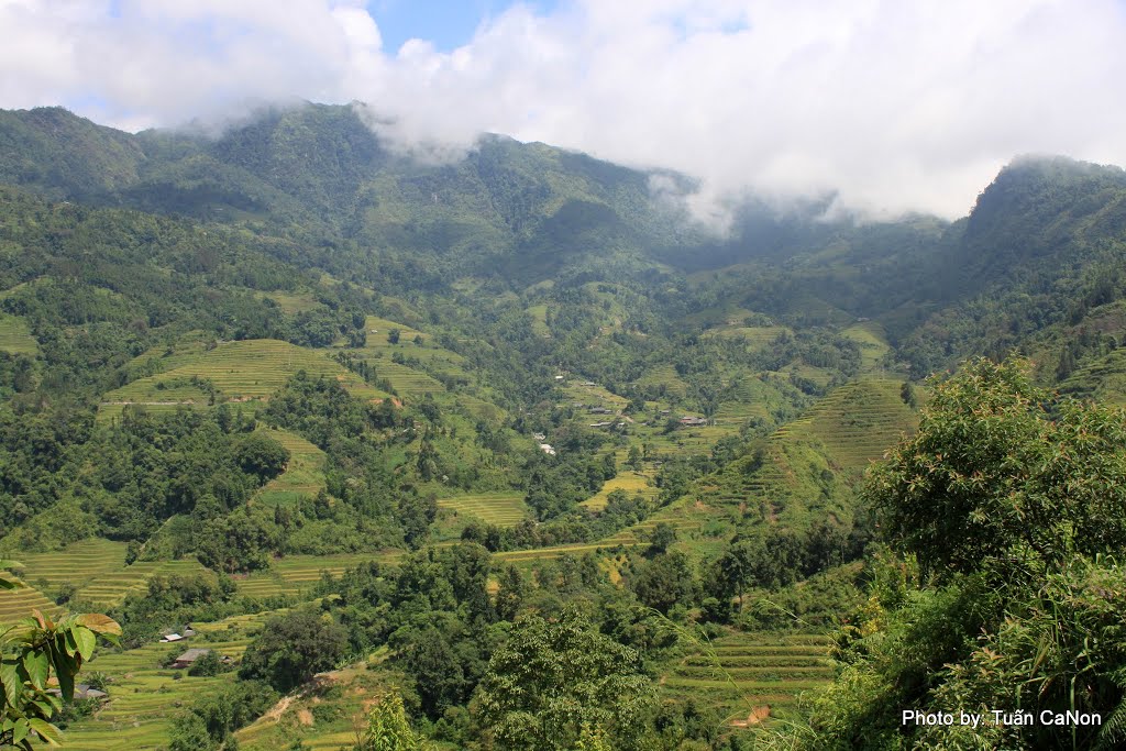 Phong cảnh Hoàng Su Phì by Tuấn Canon