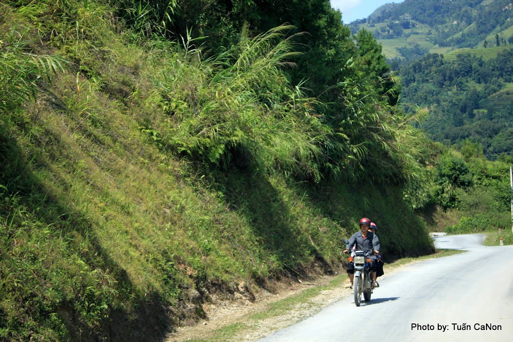 Phong cảnh Hoàng Su Phì by Tuấn Canon