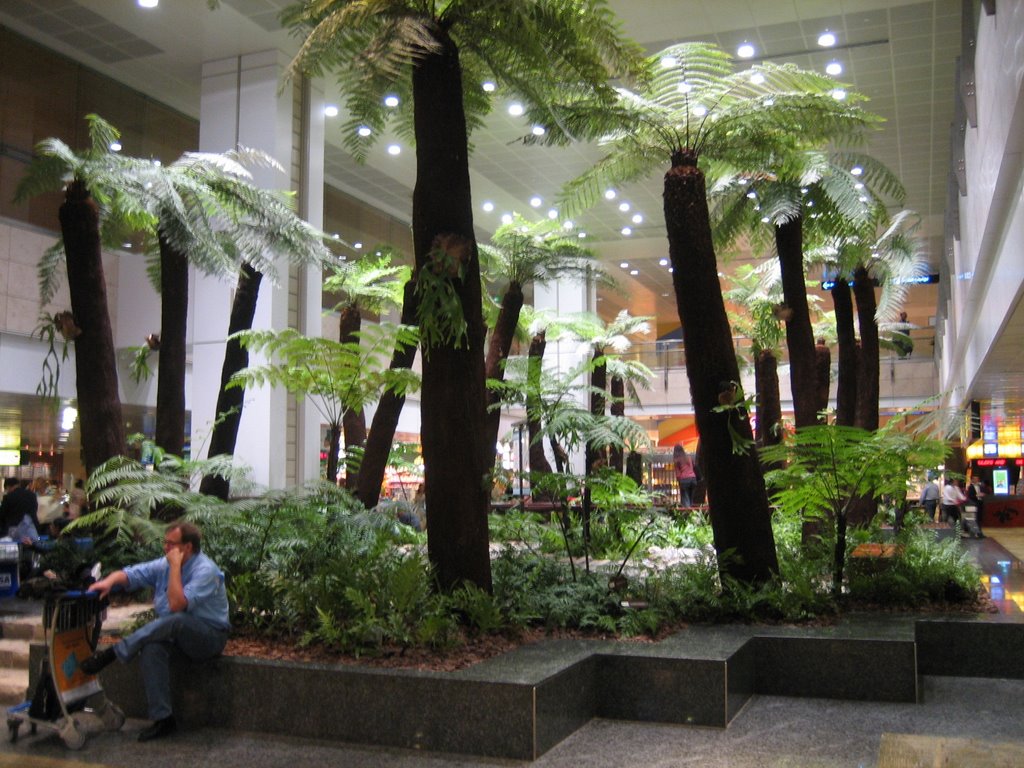 Tropical Garden inside Changi Terminal 2 by ahsheng