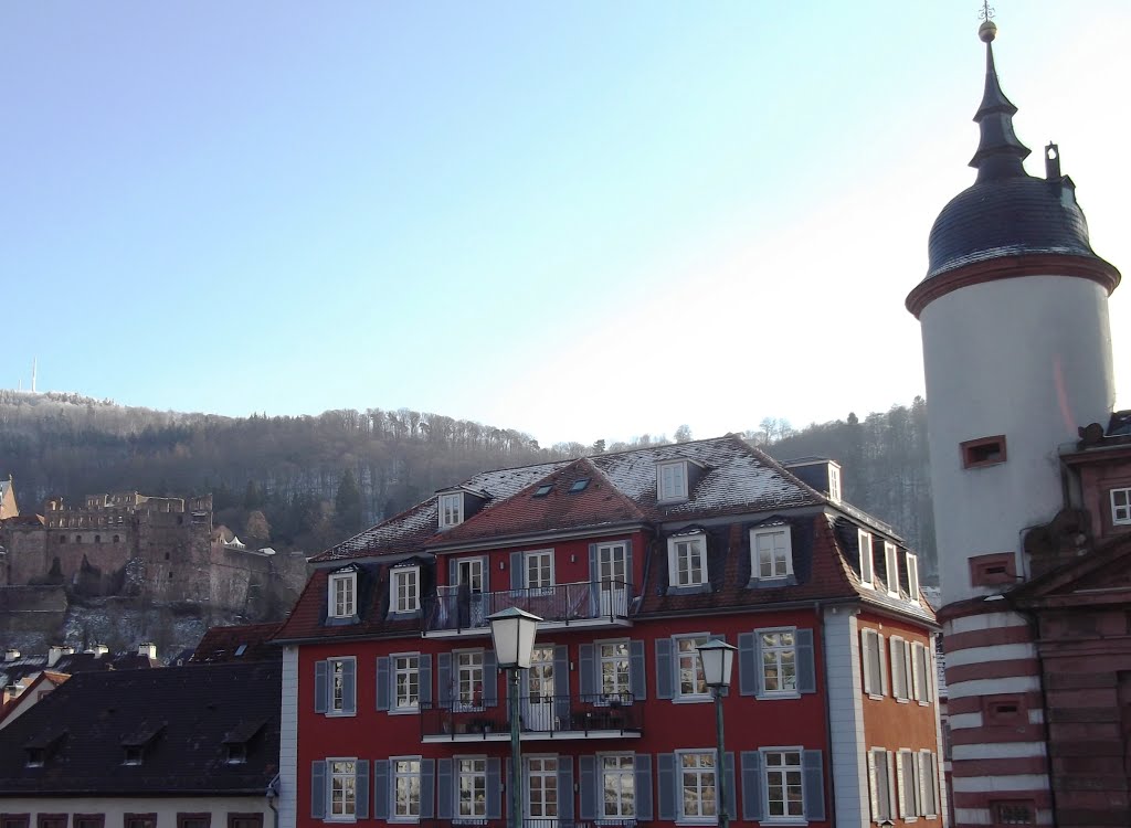 Heidelberg,Germany by Stoyanka Robova