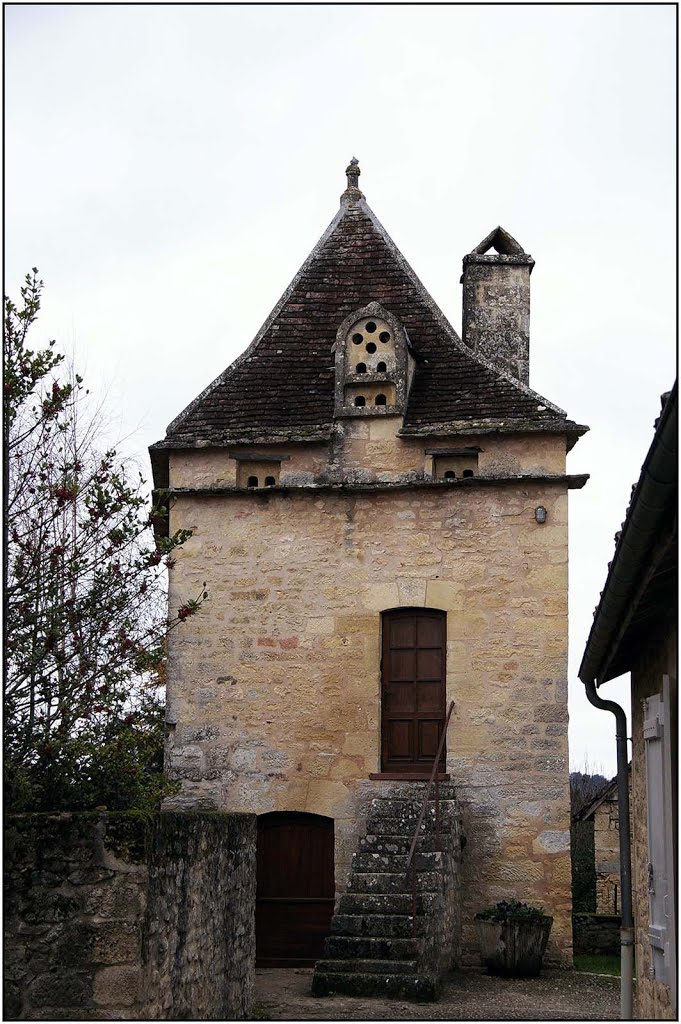 FANLAC [24] - Pigeonnier au bourg (décembre 2012) by Michel Chanaud