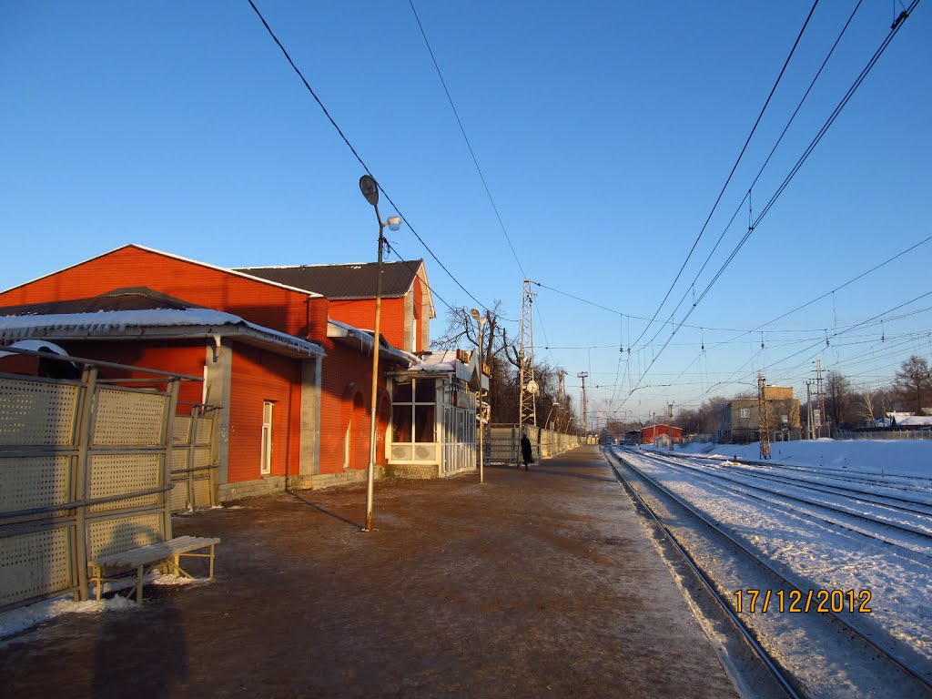 Noginsk railway station by Anuar T