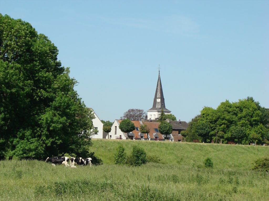 Niederrhein (Orsoy) Mai 2012 by DortmundWestfalica