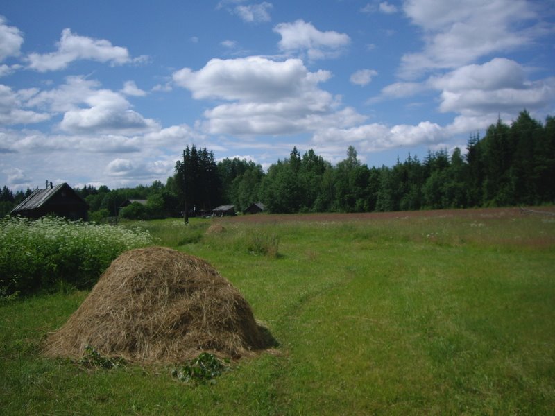 Penovsky District, Tver Oblast, Russia by fedork