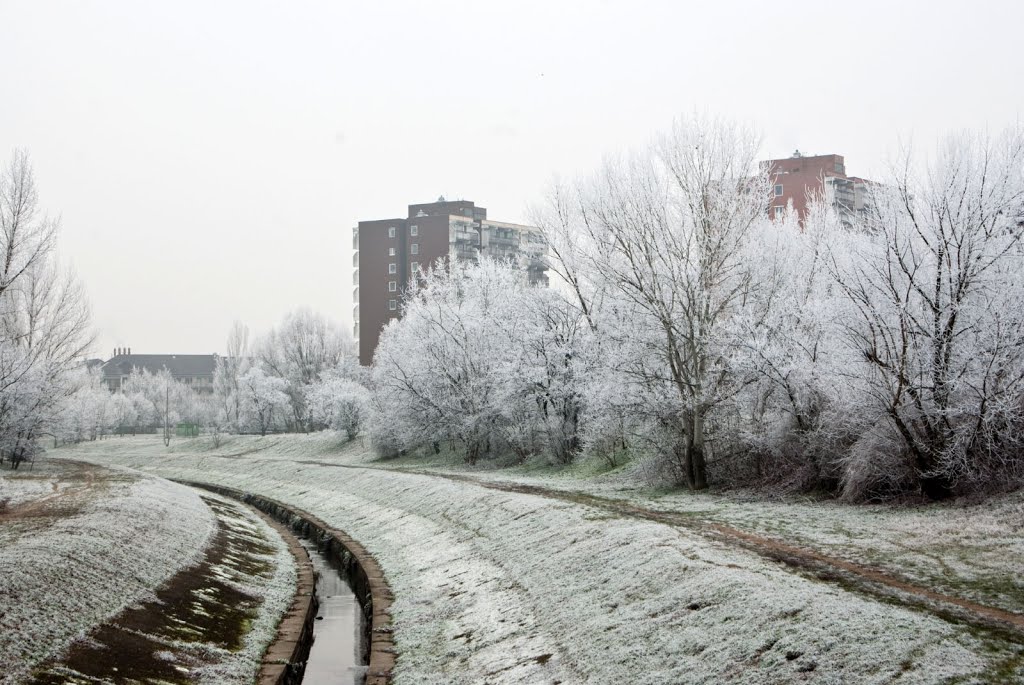 Izzó Lakótelep és Szilas-patak télen, 2012/12/22 by hatja-budapest