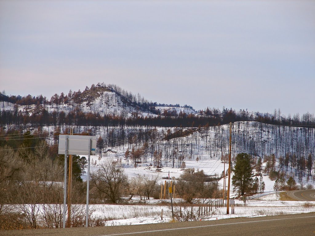 Winter View by Jay Reeve