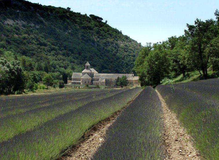 Abbey Notre-Dame de Sénanque by BB Saar