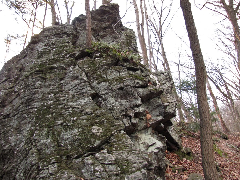 Tucquan Glen Rock by Chris Sanfino