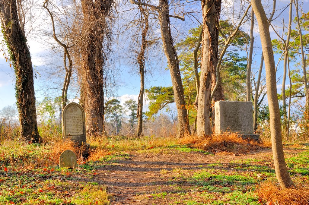 VIRGINIA: ISLE OF WIGHT COUNTY: SMITHFIELD: Windsor Castle Park cemetery near view by Douglas W. Reynolds, Jr.