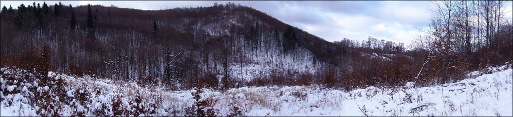 Výhľad z vrchu Snoža na sedlo Kráľov stôl. (r.2012/OlympusSP810UZ) by Matej Rückschlos Petruf