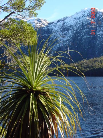 Marion's Lookout from Dove Lake by Bill van Ommen