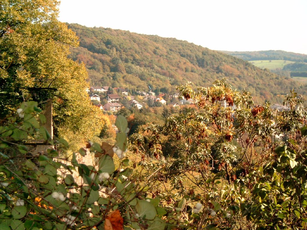 Blick Richtung Oelsberg by hadiwe