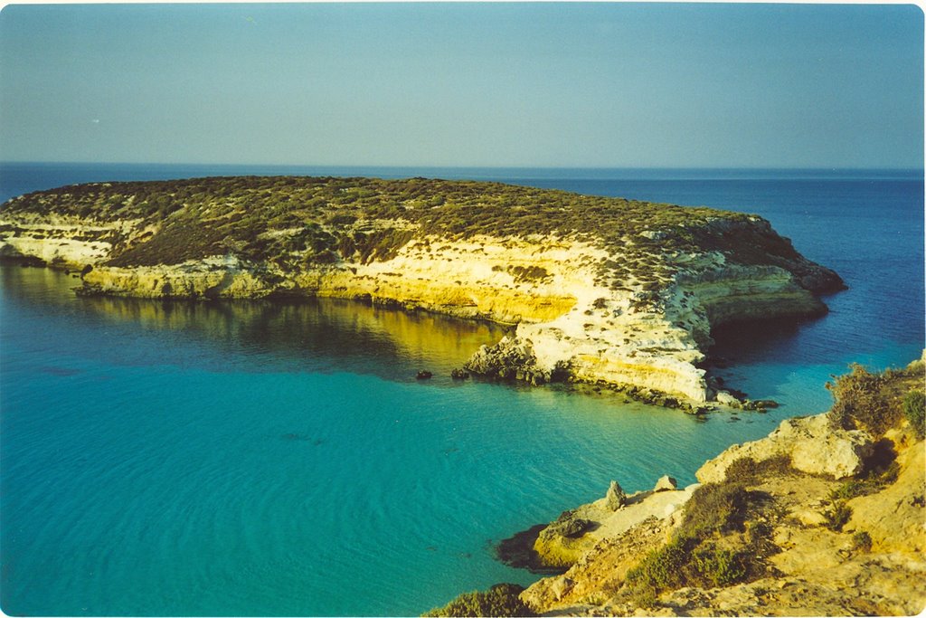 Isola dei Conigli ,Lampedusa by massi.dellacasa