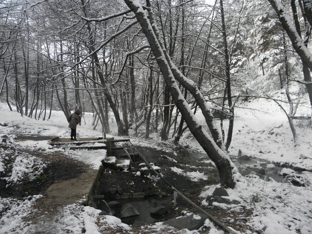 Железница-минерален извор by *Cveta *