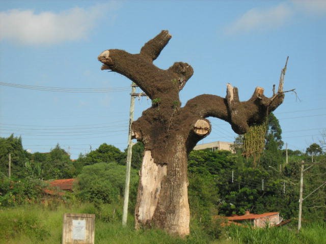 Estrada do Parque (Cabreúva) by Jose Luis Nogueira