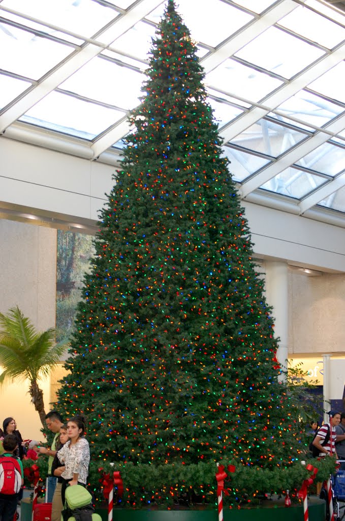 Christmas Tree at Terminal A, Orlando International Airport, Orlando, FL by Scotch Canadian