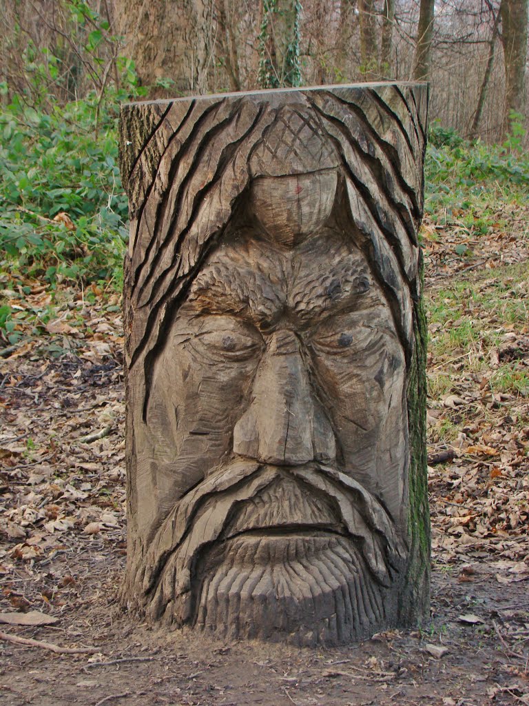 Face in the wood (The Green Man), Meersbrook Park, Sheffield S8 by sixxsix