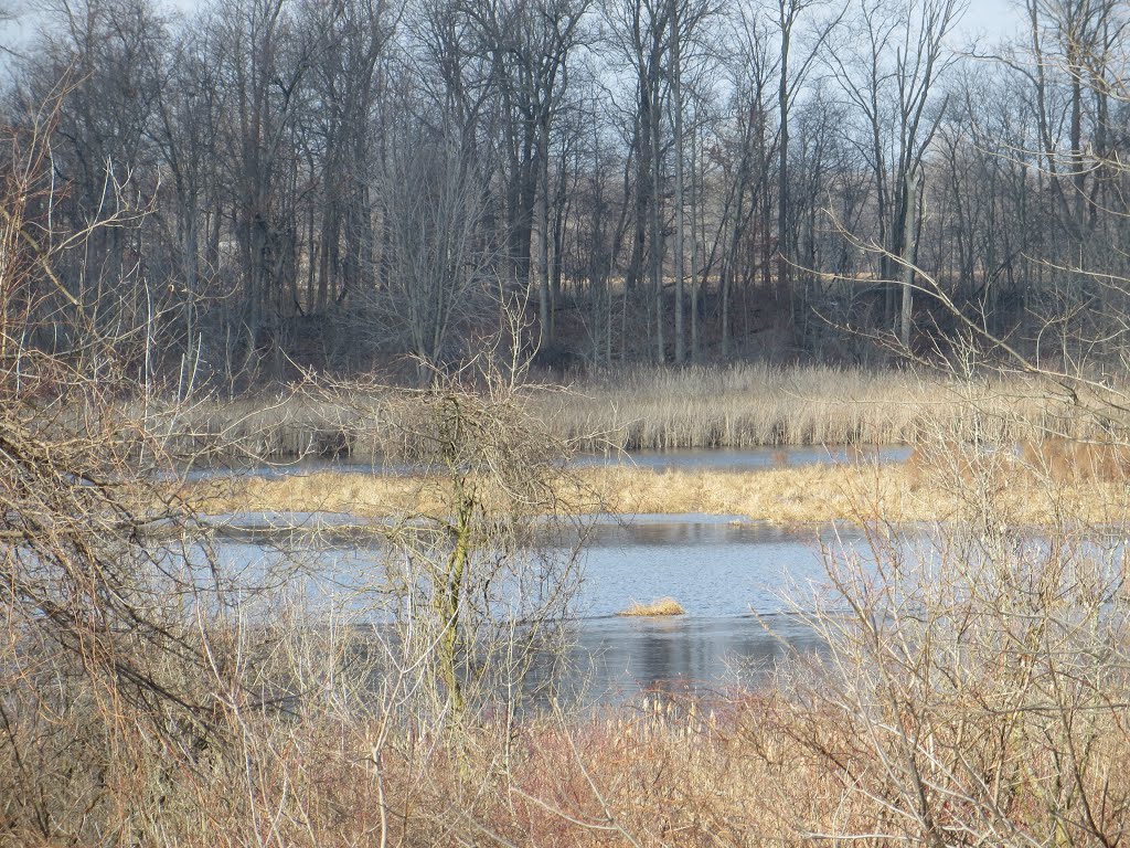 Mud Lake in Leonidas by UnagiUnagi