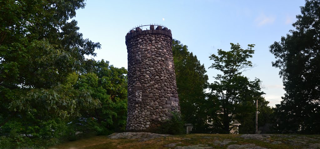 Tower @ Hastings Park by weirdpix