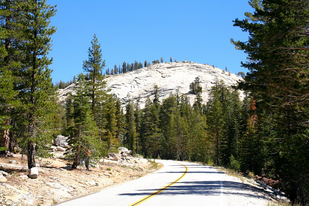 Yosemite; near Olmsted Point by Philippe Nieto