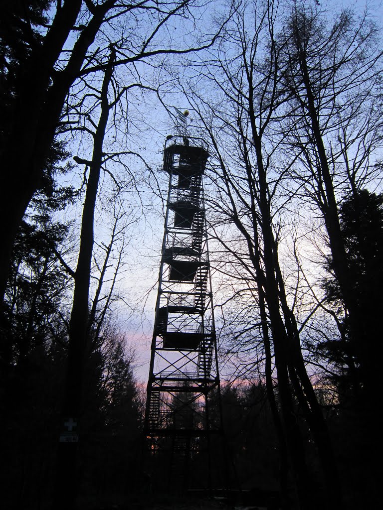 Aussichtsturm Freiburg- Roßkopf by Micha FR